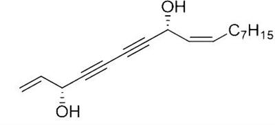 Synergistic activity of the combination of falcarindiol and itraconazole in vitro against dermatophytes